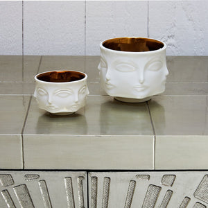 MUSE BOWL